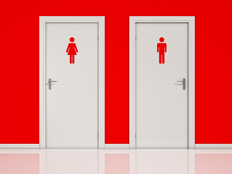 Female and Male, Toilet Doors